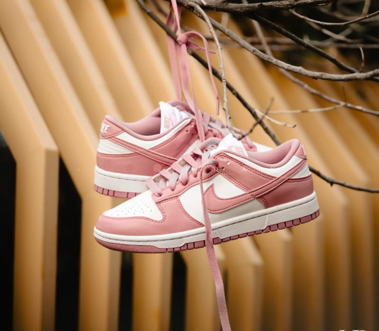 NIKE DUNK LOW NEXT NATURE WOMEN