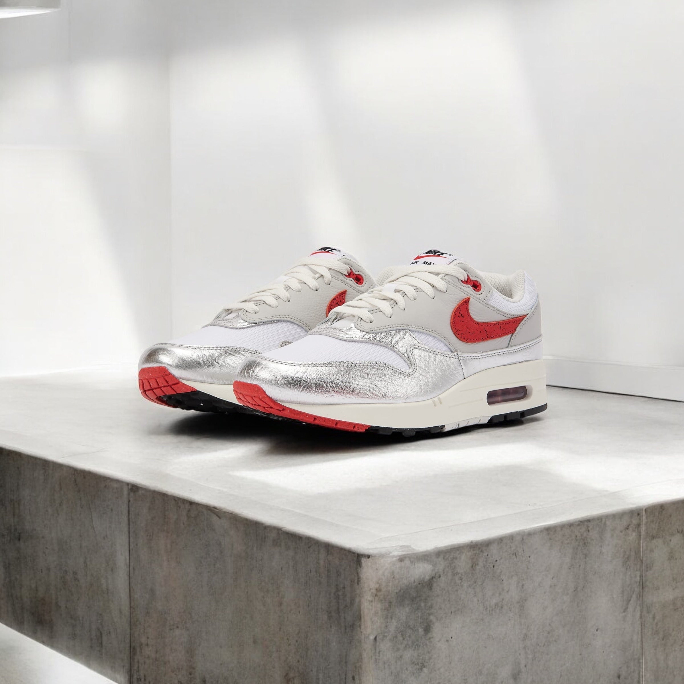 NIKE AIR MAX 1 ROUGE FROID