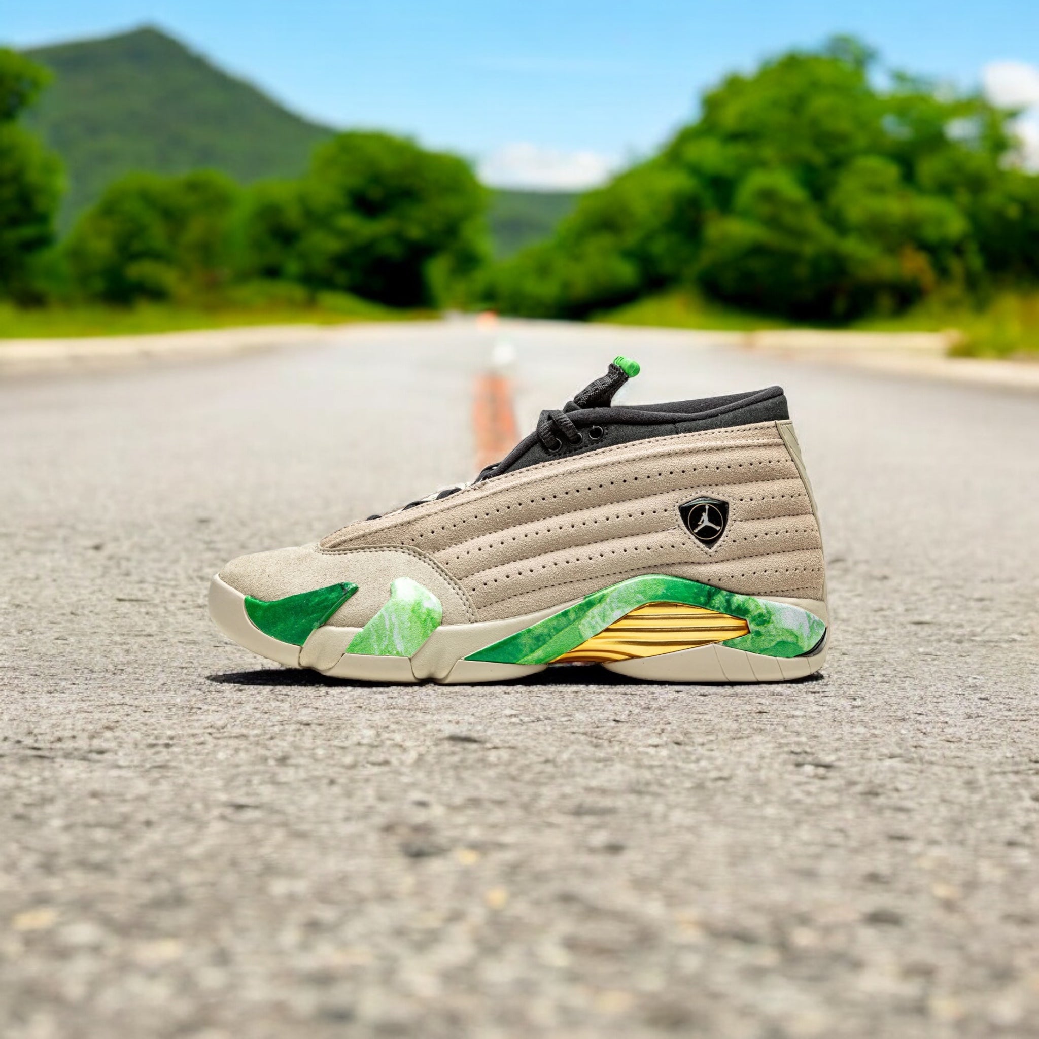 Jordan 14 Retro Aleali May Fortune (Femme)