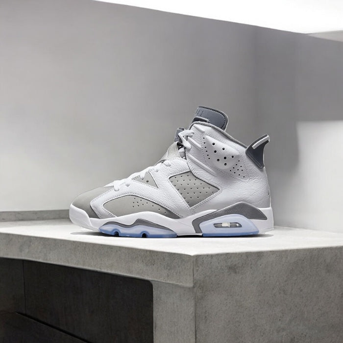 Jordan 6 Retro Gris Froid