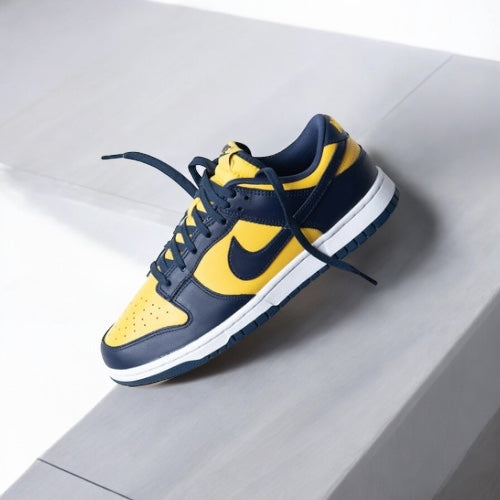 NIKE DUNK LOW MICHIGAN GS