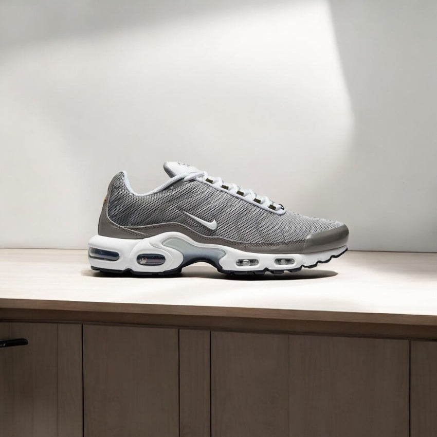 NIKE AIR MAX PLUS FLAT ÉTAIN