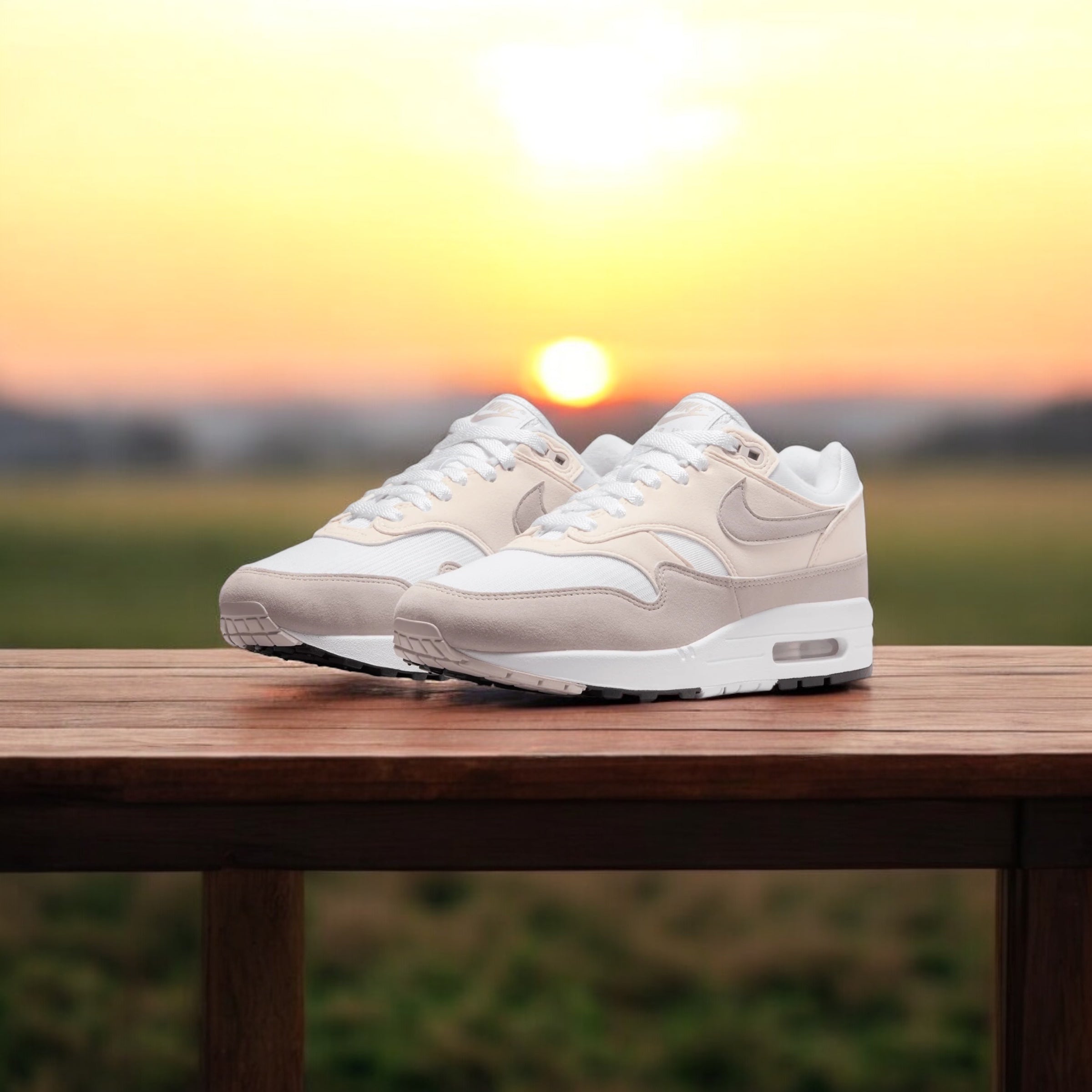 NIKE AIR MAX 1 FEMME PLATINE VIOLET