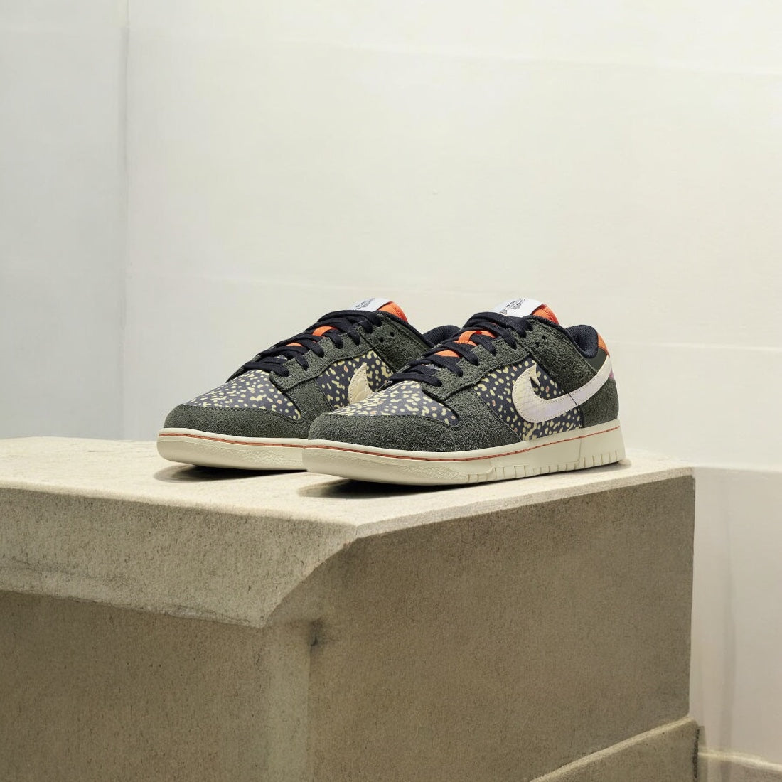 Truite arc-en-ciel NIKE DUNK LOW RETRO