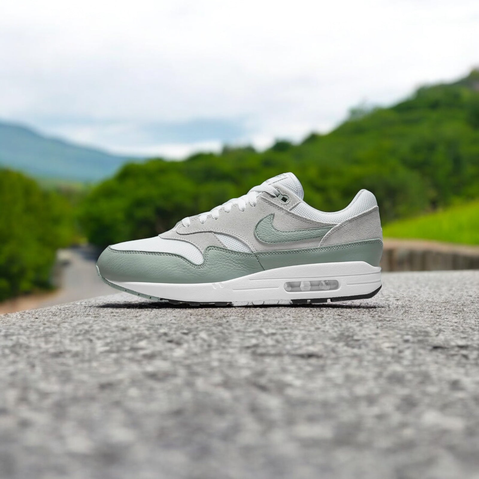 NIKE AIR MAX 1 VERT MICA