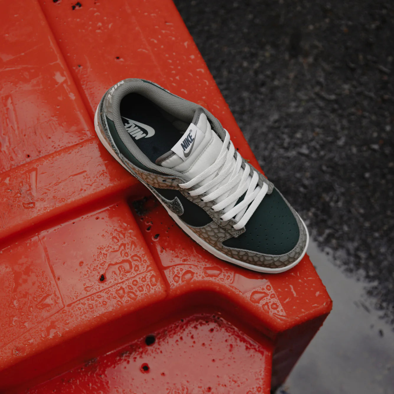 Nike Dunk Low PRM Urban Landscape 2.0