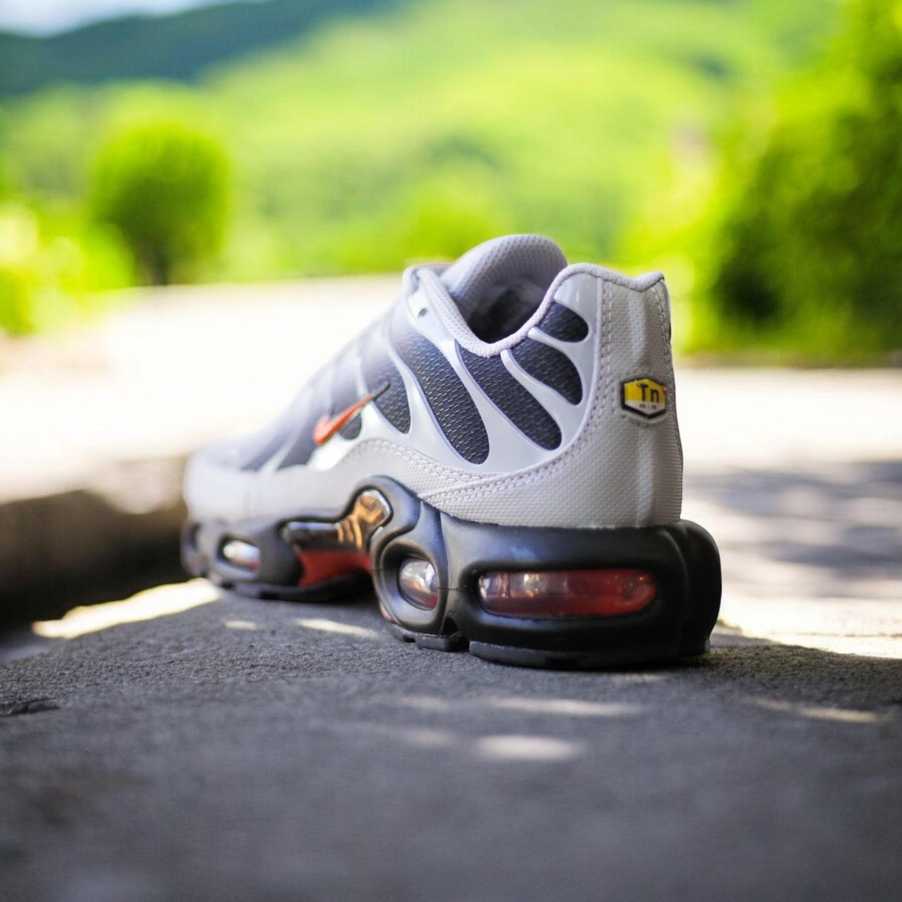 NIKE AIR MAX PLUS “picante”