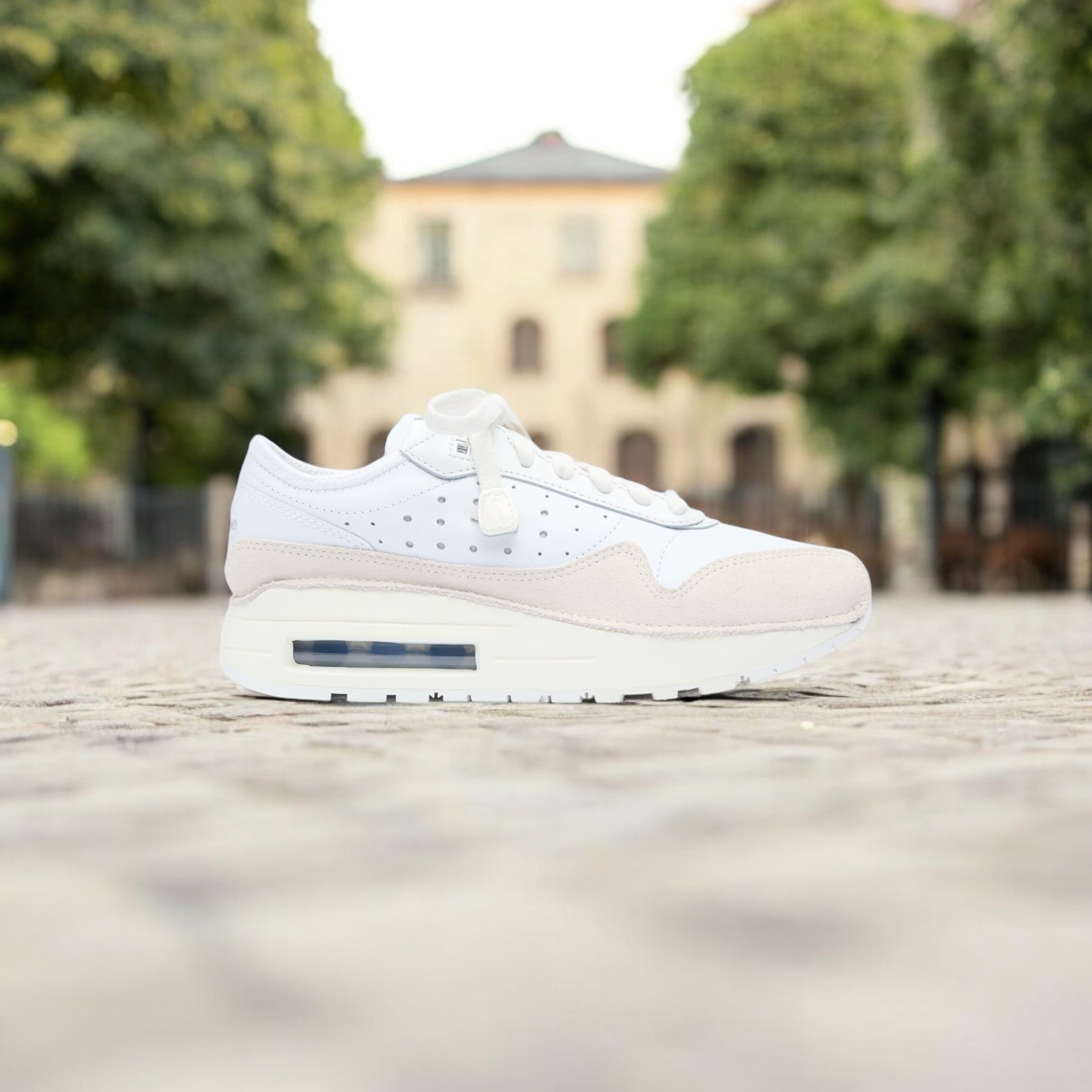 NIKE AIR MAX 1 “JACQUEMUS”