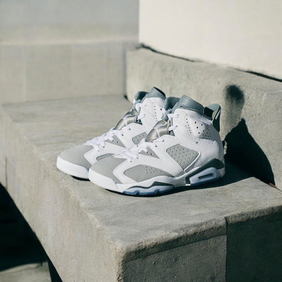 Jordan 6 Retro Cool Grey