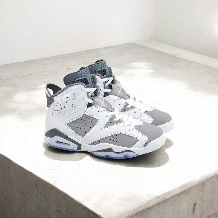 Jordan 6 Retro Cool Grey