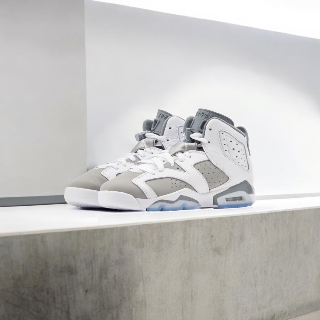 Jordan 6 Retro Gris Froid (GS)