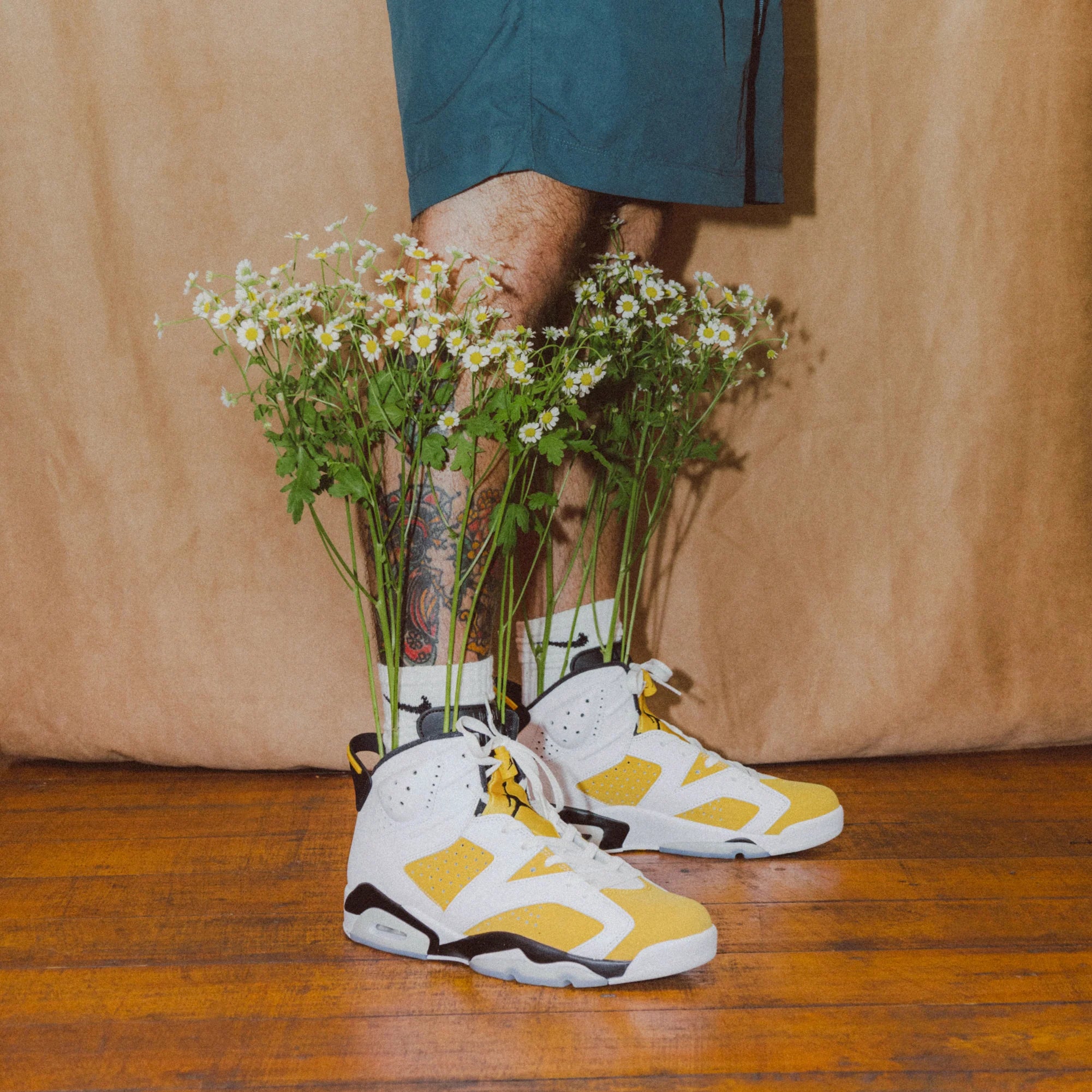 Jordan 6 Retro Jaune Ocre