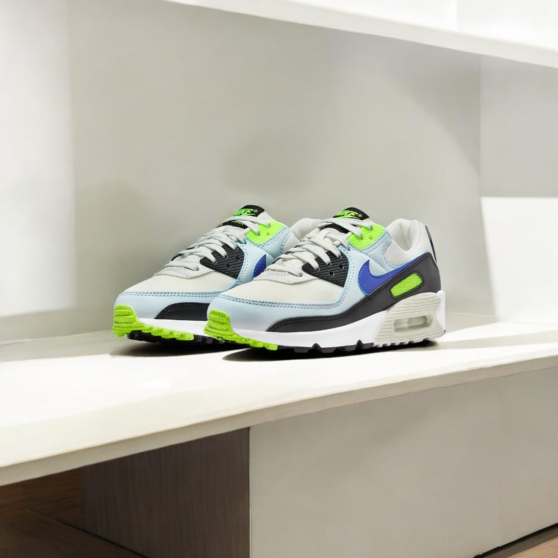 Nike air max 90 WMN (women)