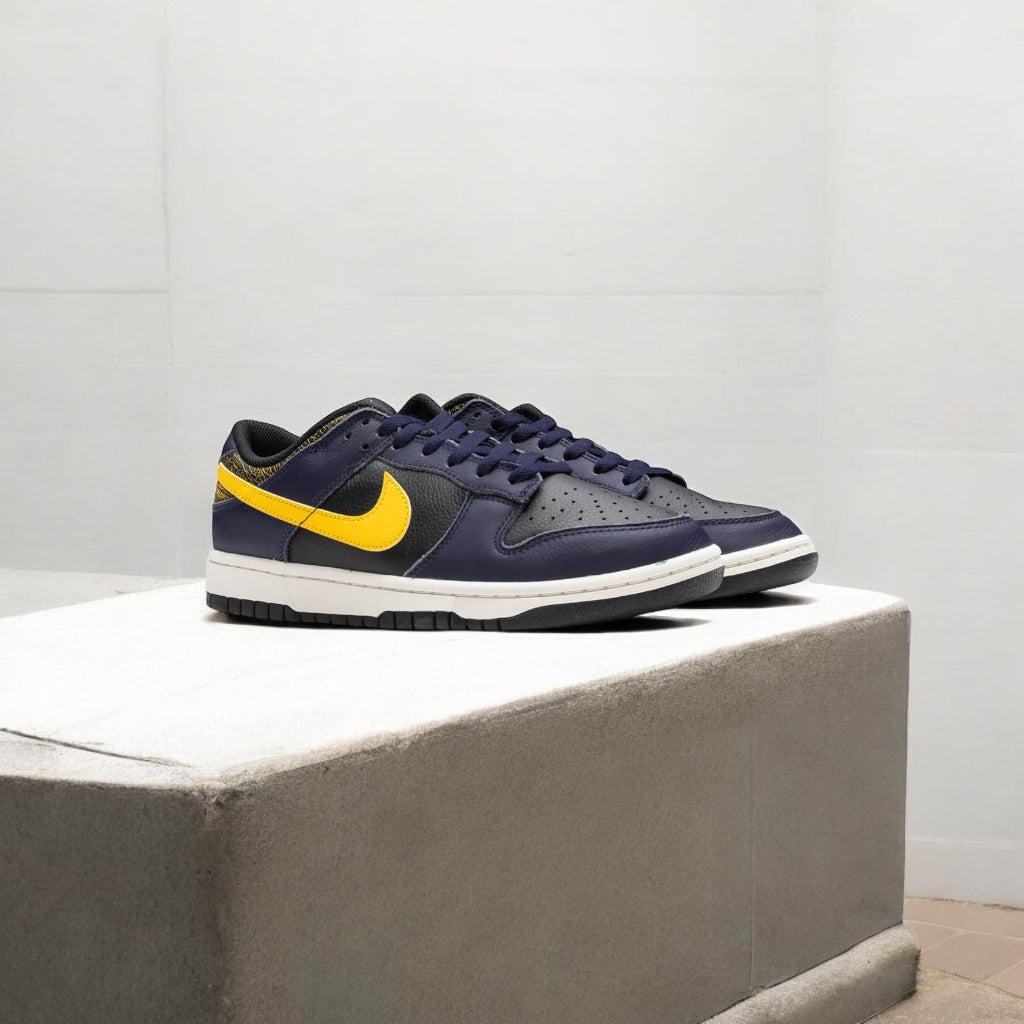 NIKE DUNK LOW vintage Michigan