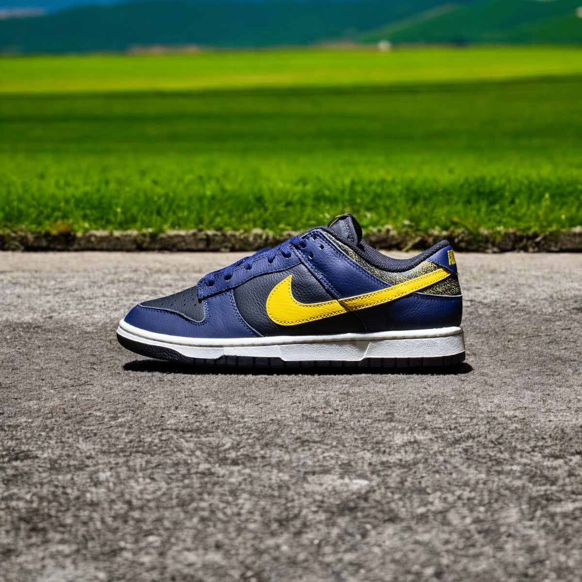 NIKE DUNK LOW vintage Michigan