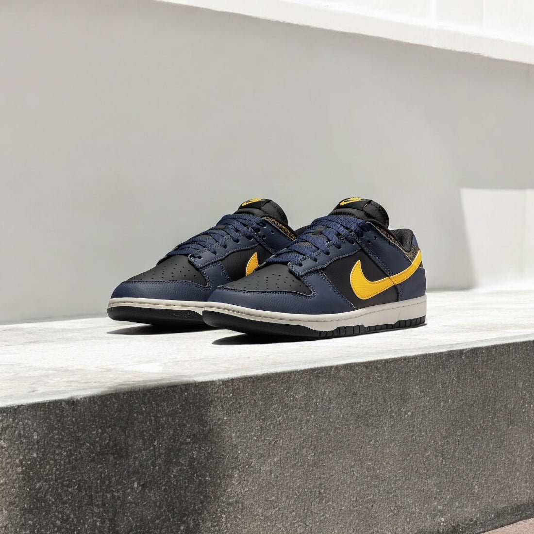 NIKE DUNK LOW vintage Michigan