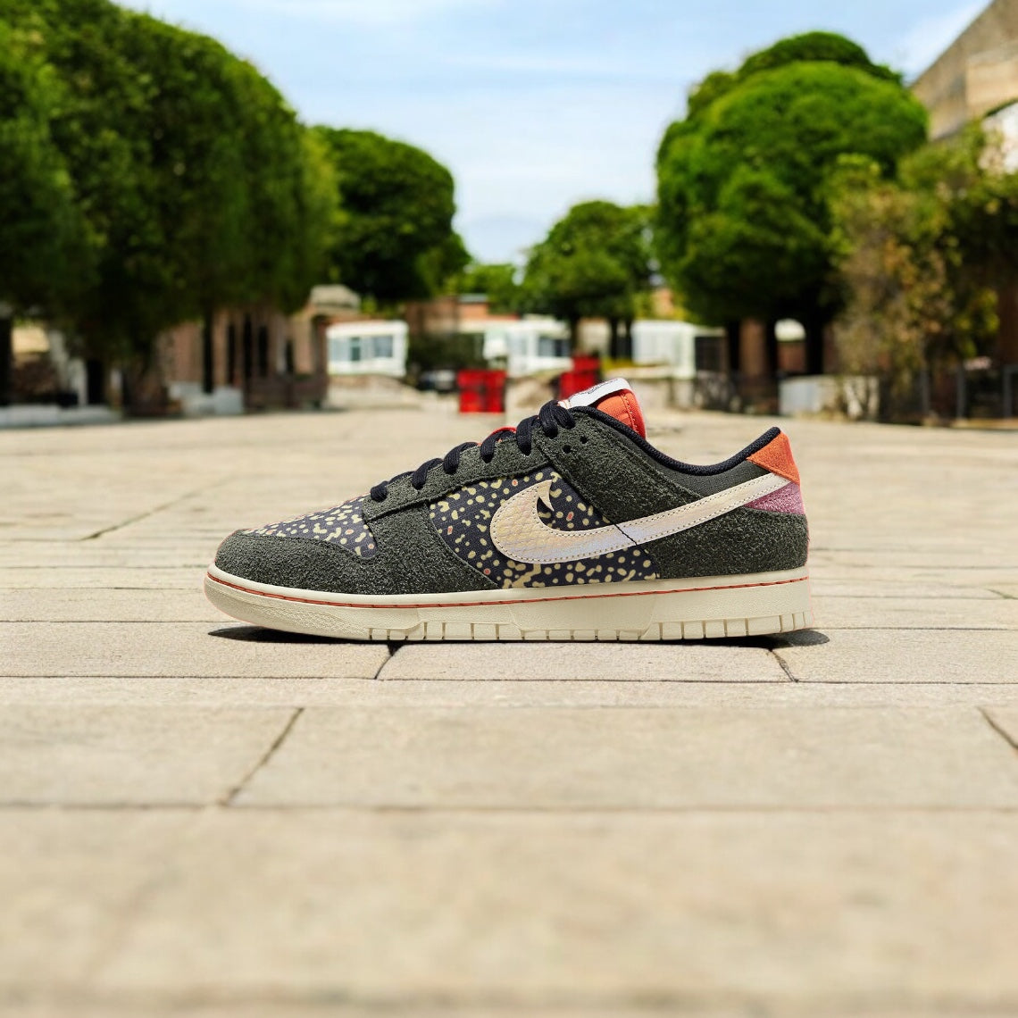 NIKE DUNK LOW RETRO rainbow trout