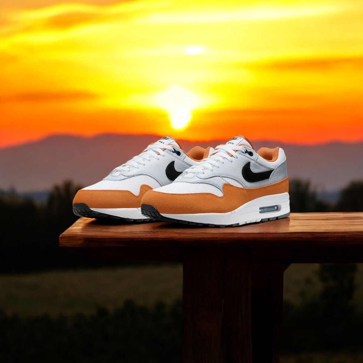 Nike Air Max 1 Monarch