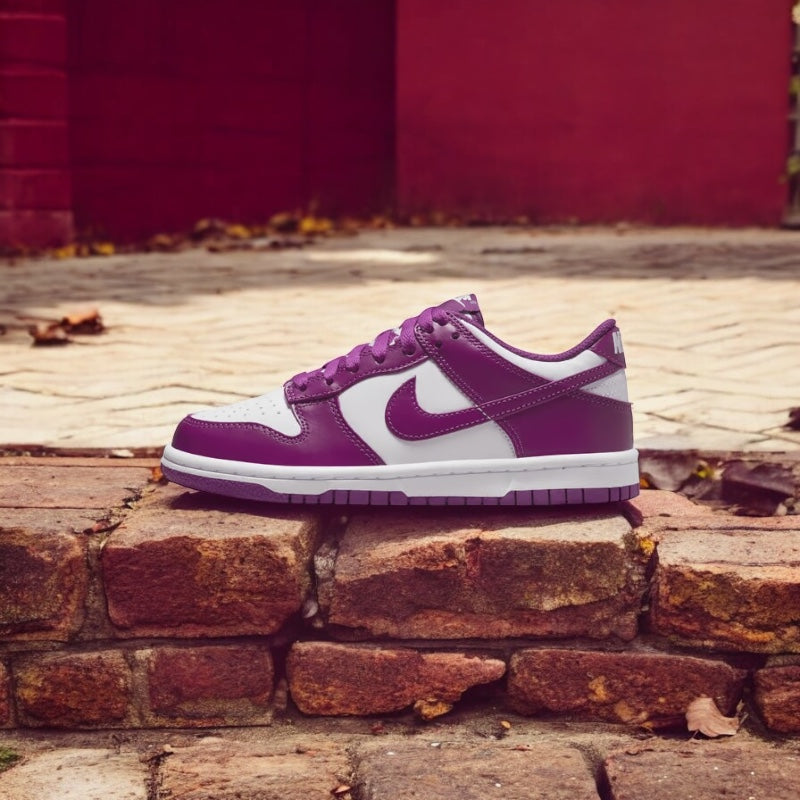 NIKE DUNK LOW GS VIOTECH